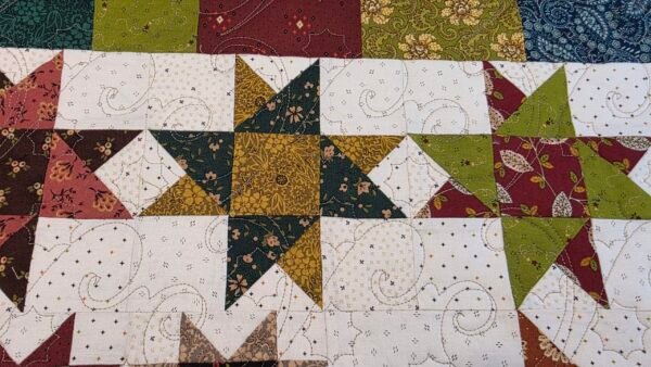 20251007_101839 Aronia